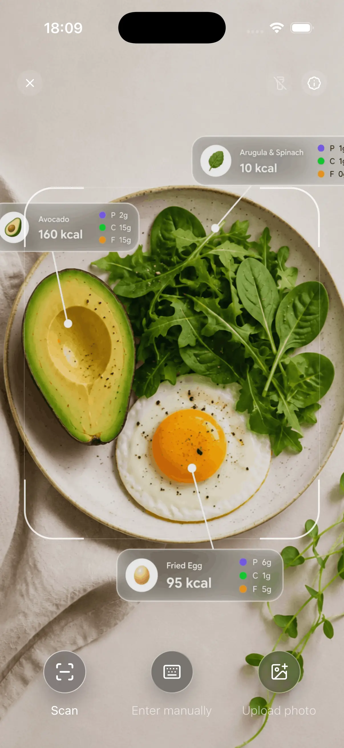 Fitroom analyzed meal screen